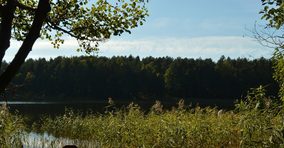 zdjęcie: Nowy rezerwat przyrody Jezioro Mścin / pixabay/1155506