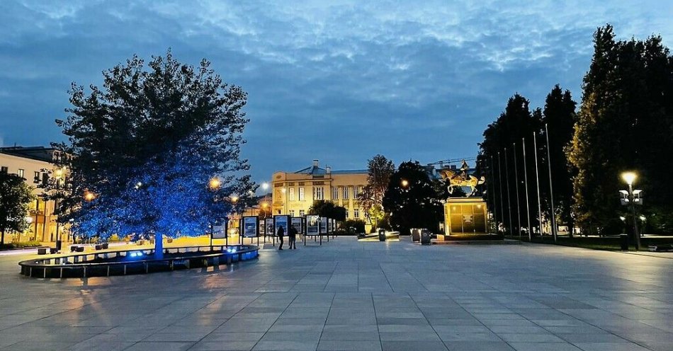 zdjęcie: Niebieski kwiecień w Lublinie / fot. UM Lublin / Baobab na Placu Litewskim podświetlony na niebiesko