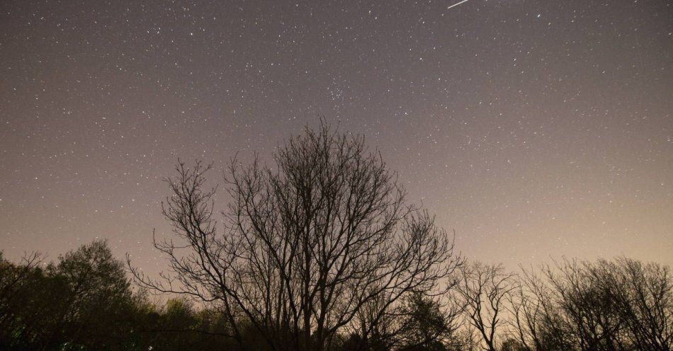 zdjęcie: Od połowy kwietnia można obserwować wiosenne roje meteorów, m.in Lirydy / fot. PAP