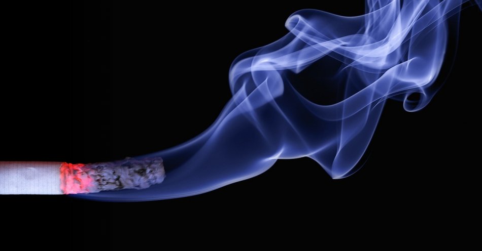 zdjęcie: KAS udaremniła przemyt ponad pół mln paczek papierosów / pixabay/110849