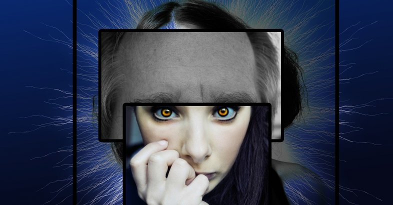 zdjęcie: Schizofrenia, której nie widać– raport społ. „Schizofrenia z objawami negatywnymi. Obciążenie chorobą pacjentów  i ich bliskich” pod patronatem PTP / pixabay/388869