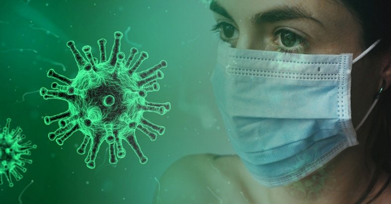 zdjęcie: 12 przypadków koronawirusa na Podkarpaciu / pixabay/4914028