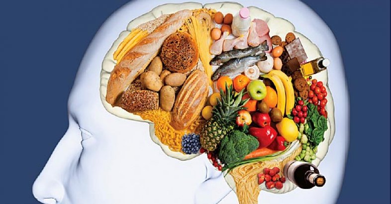 zdjęcie: Wasz mózg na diecie. / fot. nadesłane