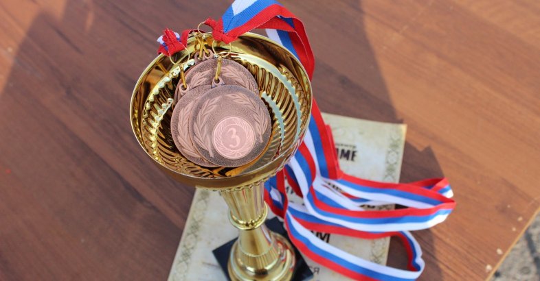 zdjęcie: Rekordowe Nagrody Prezydenta dla wrocławskich sportowców i trenerów / pixabay/211240