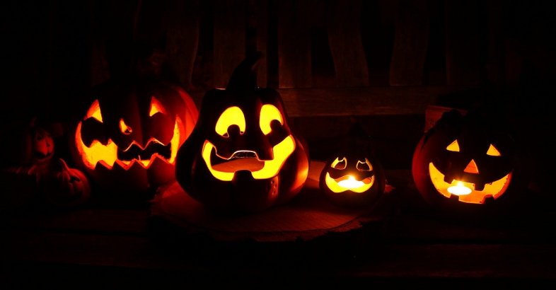 zdjęcie: Czy obchodzenie Halloween w Polsce będzie karane? / pixabay/4019589