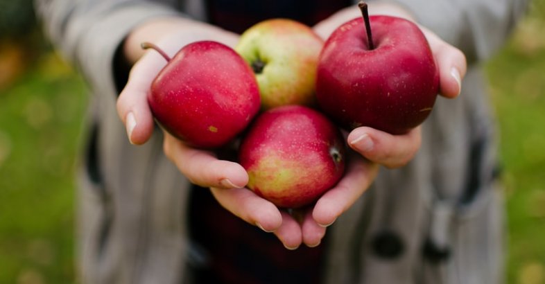 zdjęcie: Dlaczego warto jeść jabłka ? / fot. nadesłane