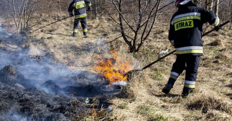 zdjęcie: Od początku roku 1,7 tys. pożarów traw; strażacy ostrzegają: wypalanie traw jest bardzo niebezpieczne / fot. PAP