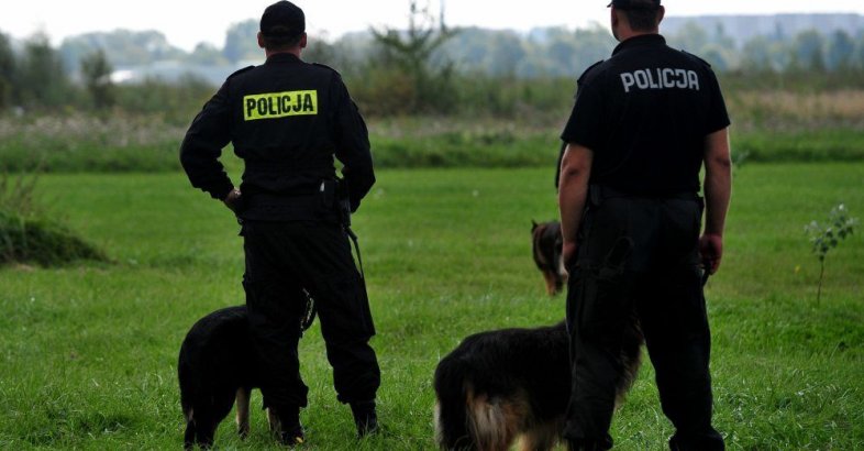 zdjęcie: Śmigłowce, dron i psy tropiące w akcji poszukiwawczej pod Częstochową / fot. PAP