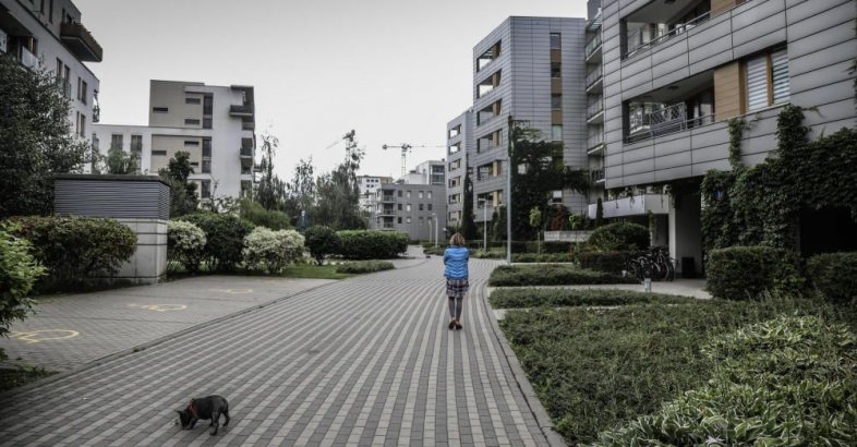 zdjęcie: W listopadzie deweloperzy oddali najwięcej mieszkań w historii / fot. PAP