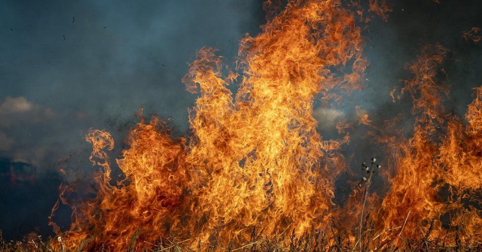 zdjęcie: Wypalanie traw przyczyną pożaru remizy strażackiej / pixabay/6706673