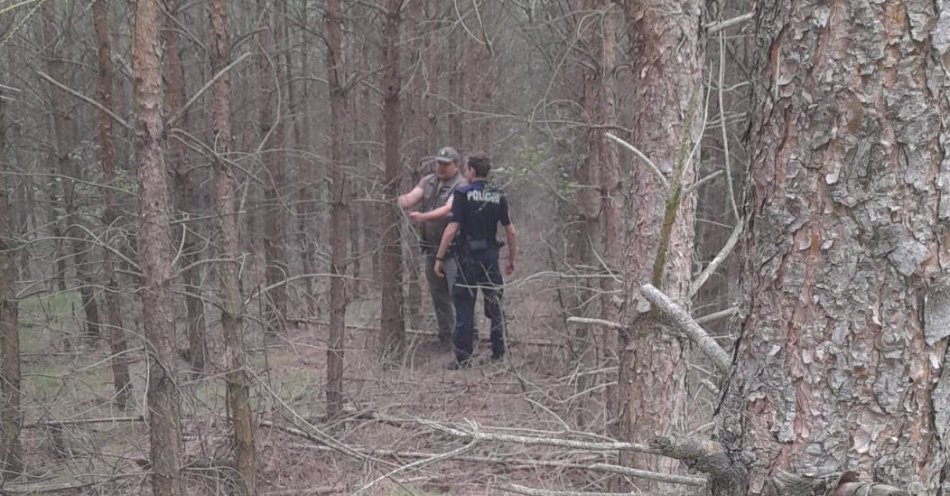 zdjęcie: Bydgoscy policjanci patrolują wspólnie ze Strażą Leśną tereny leśne / fot. KWP w Bydgoszczy