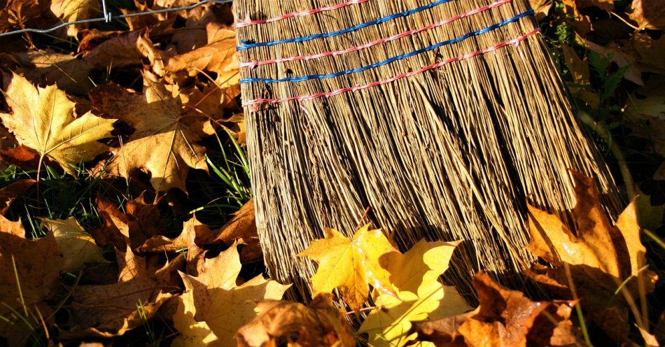 zdjęcie: Czas jesiennych porządków - zadbajmy o właściwe zabezpieczenie działek / pixabay/2919183