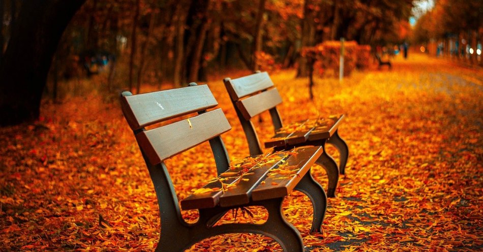 zdjęcie: Dzisiaj pierwszy dzień jesieni / pixabay/560435