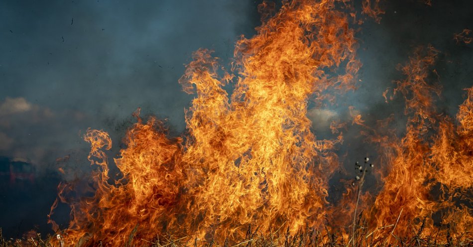 zdjęcie: 17-latek, który trudnił się podpalaniem suchych traw oraz beli siana odpowie przed sądem / pixabay/6706673