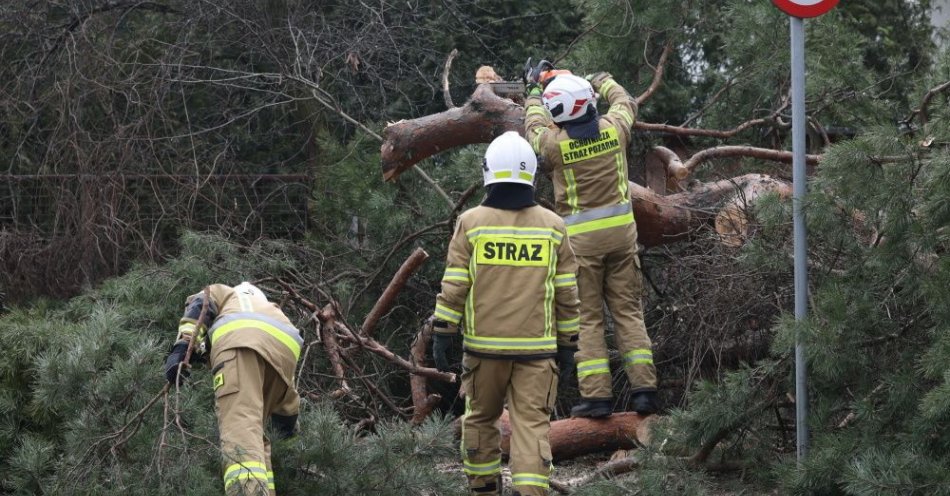 zdjęcie: Wichury połamały drzewa; strażacy interweniowali ponad 300 razy / fot. PAP