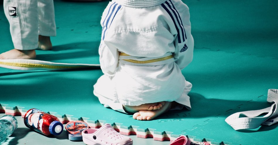 zdjęcie: Mistrzami Świata w Judo Osób z Zespołem Downa zostali Polacy / pixabay/3468115