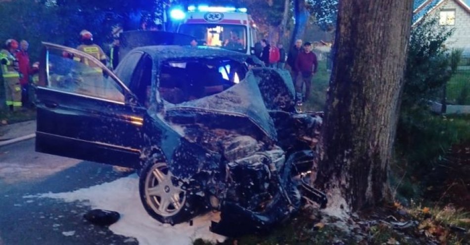 zdjęcie: Groźny wypadek w Drewnicy. Kierowca był nietrzeźwy i nie posiadał uprawnień do kierowania pojazdami / fot. KPP w Nowym Dworze Gdańskim