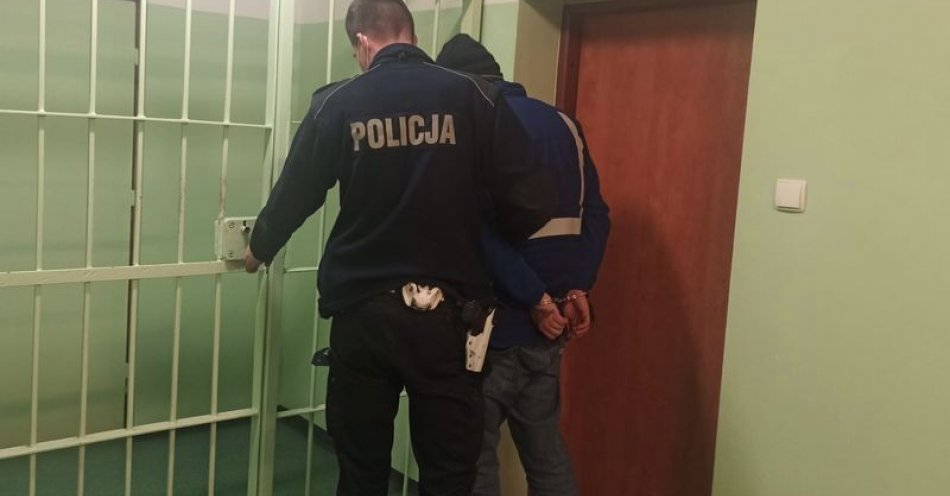 zdjęcie: Słupscy policjanci zatrzymali złodzieja katalizatorów / fot. KMP w Słupsku