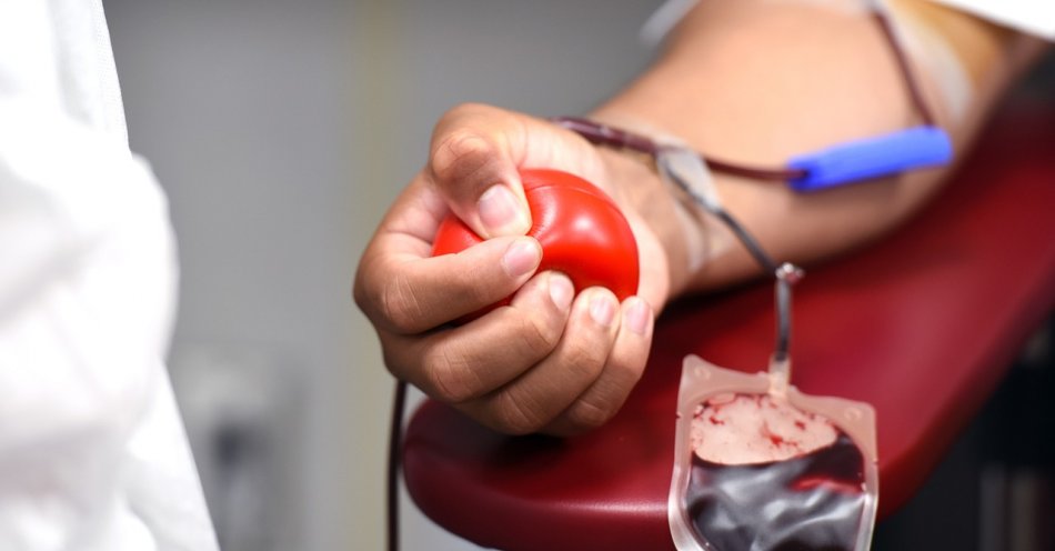 zdjęcie: Minister zdrowia podziękował polskim krwiodawcom z okazji ich święta / pixabay/5427229