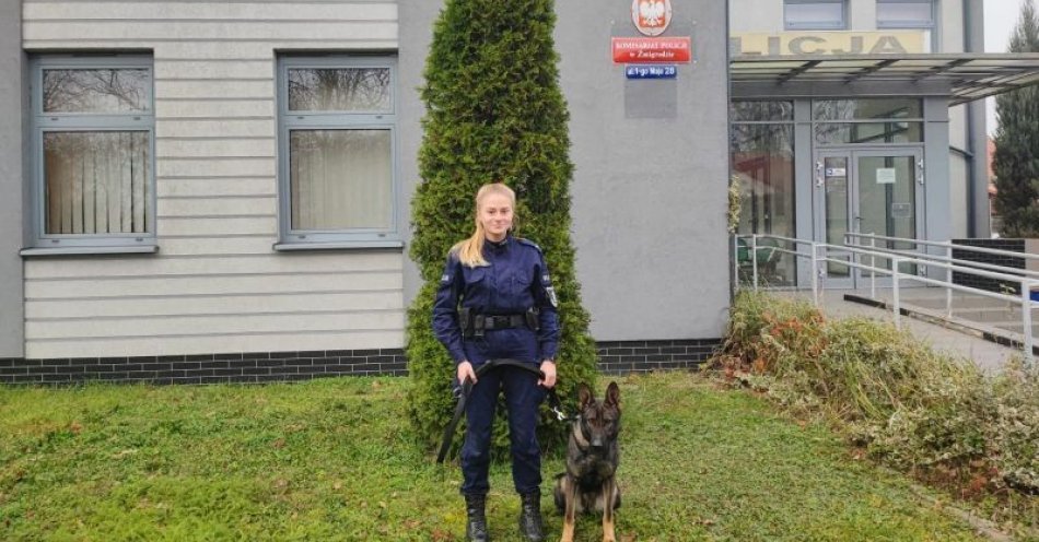 zdjęcie: Funkcjonariusz na czterech łapach – Rata nowy pies w Komisariacie Policji w Żmigrodzie / fot. KPP w Trzebnicy