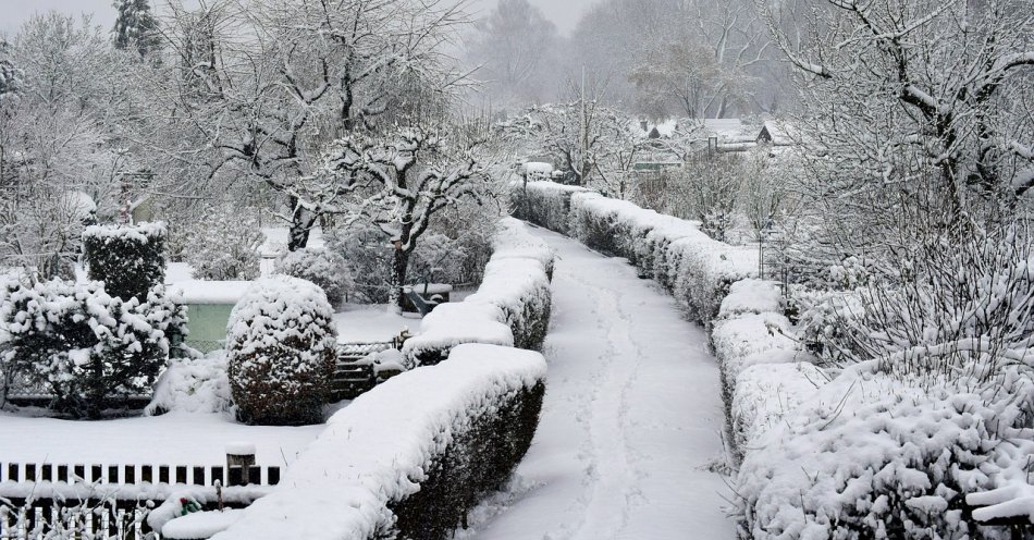 zdjęcie: Zbliża się okres zimowy, zadbajmy więc o swoje działki i ogrody. Zabezpieczmy mienie przed kradzieżą / pixabay/3166386