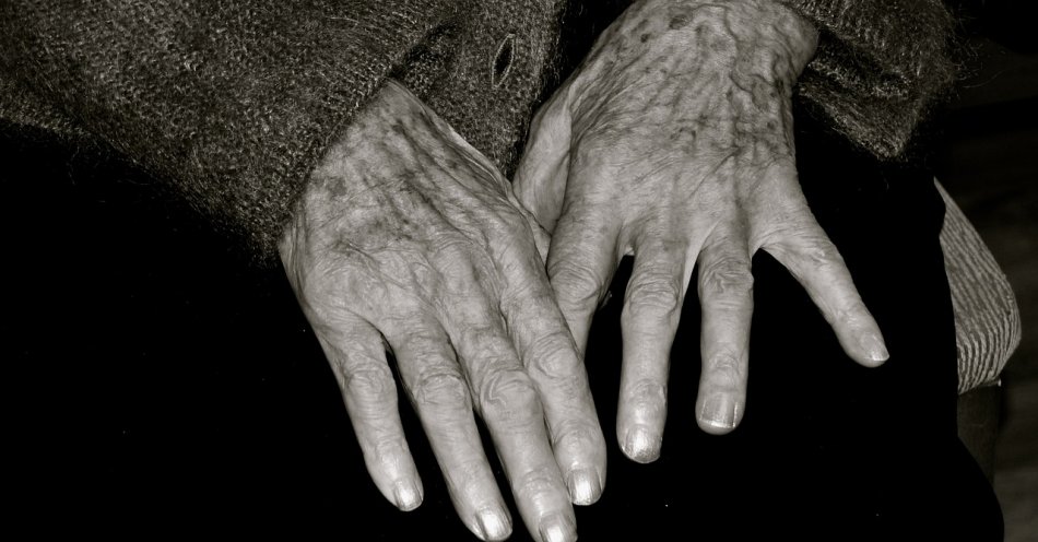 zdjęcie: 83-latka uwierzyła w legendę oszustów – straciła 20 tys. zł / pixabay/1036773