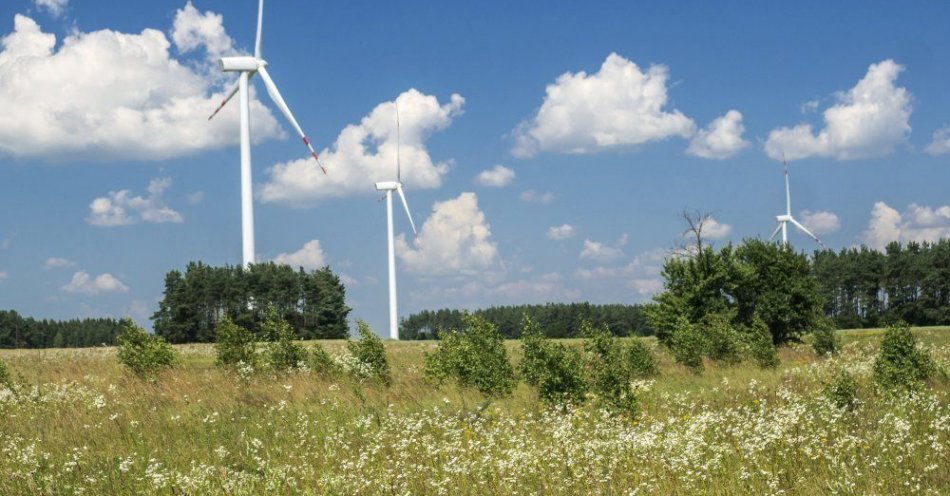 zdjęcie: Rząd przyjął poprawkę do ustawy wiatrakowej; co najmniej 10 proc. energii z farmy na rzecz społeczności lokalnej / fot. PAP