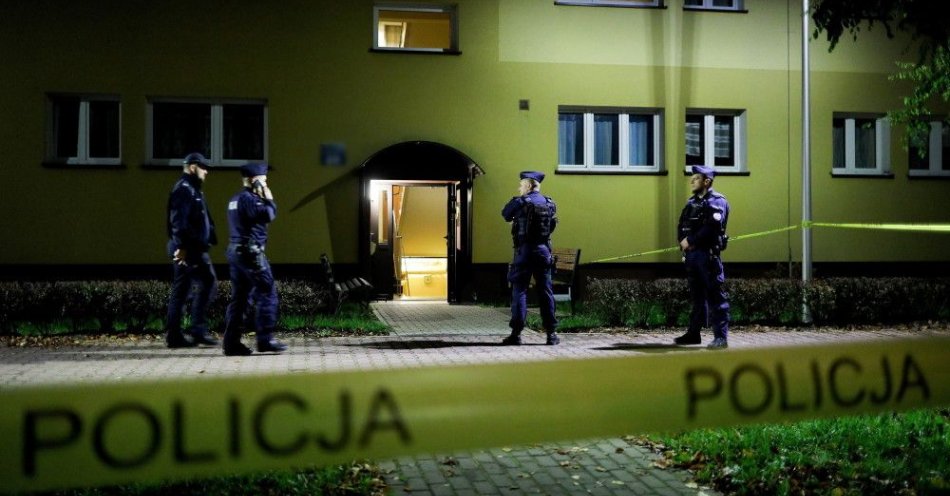 zdjęcie: Norweg podejrzany o zabójstwo Polki i uprowadzenie dziecka usłyszał zarzuty / fot. PAP