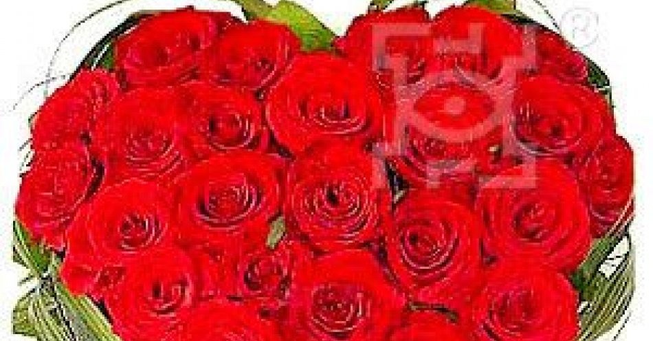 zdjęcie: Drogie Babcie i Drodzy Dziadkowie! / fot. UM Lublin / Bukiet czerwonych róż w kształcie serca