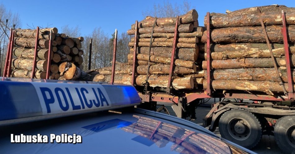 zdjęcie: Potężne kłody drewna wypadły podczas przewozu na jezdnię i chodnik – cudem nikt nie ucierpiał / fot. KPP Sulęcin