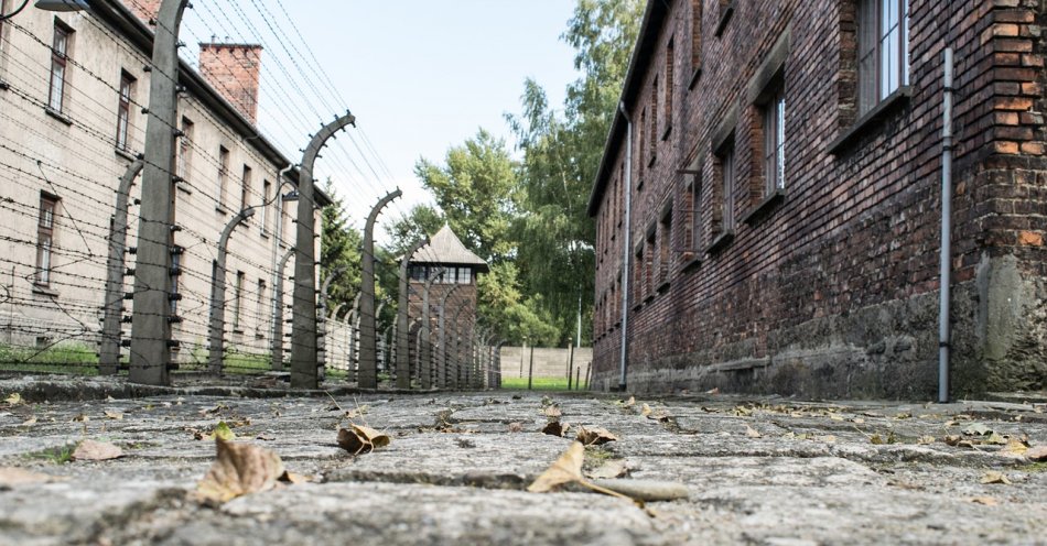 zdjęcie: Międzynarodowy Dzień Pamięci o Ofiarach Holokaustu / pixabay/2423531
