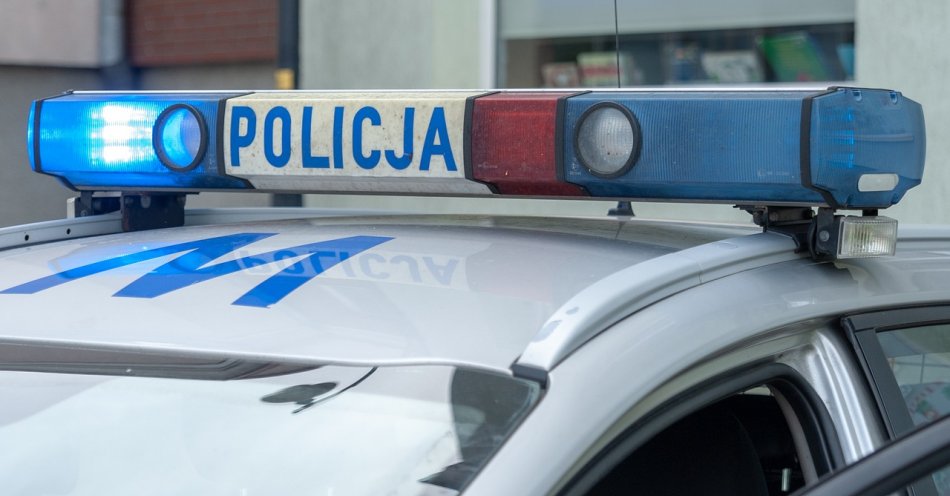 zdjęcie: Policjanci szukają sprawcy zgwałcenia 17-latki / pixabay/7265600