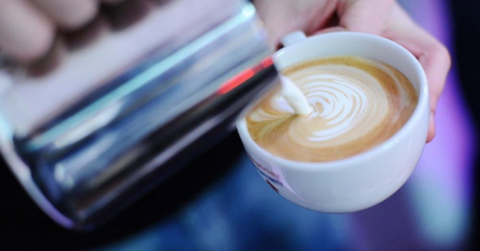 zdjęcie: Kawa z mlekiem może działać przeciwzapalnie / fot. PAP