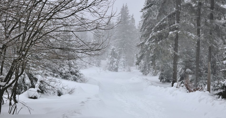 zdjęcie: Ostrzeżenie pierwszego stopnia przed opadami śniegu w pow. kolskim / pixabay/3011523