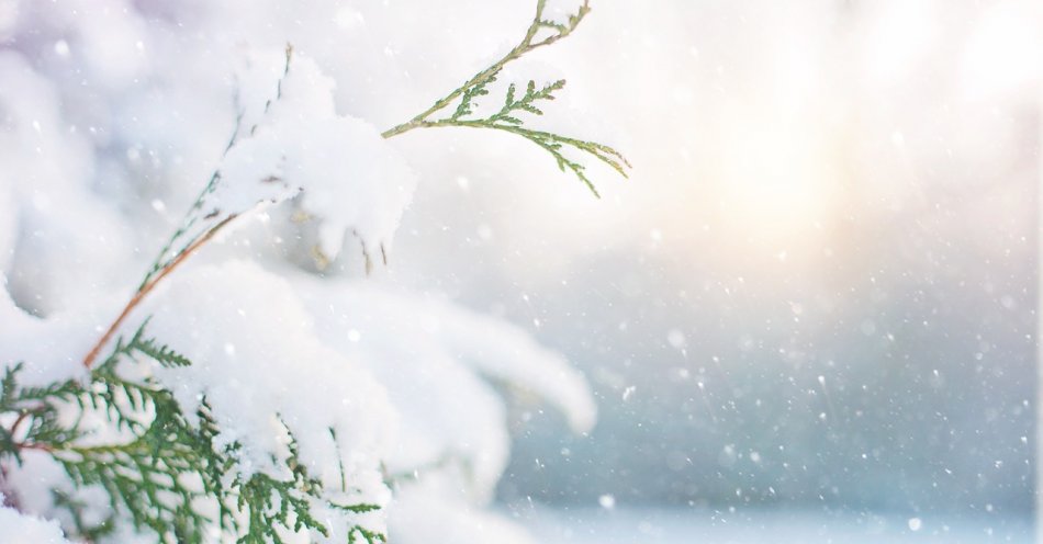 zdjęcie: Ostrzeżenie przed intensywnymi opadami śniegu / pixabay/6835828