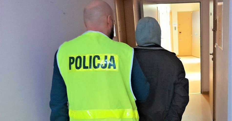 zdjęcie: Kryminalni zatrzymali 21-latka podejrzewanego o kradzież alkoholu / fot. KPP w Kościerzynie