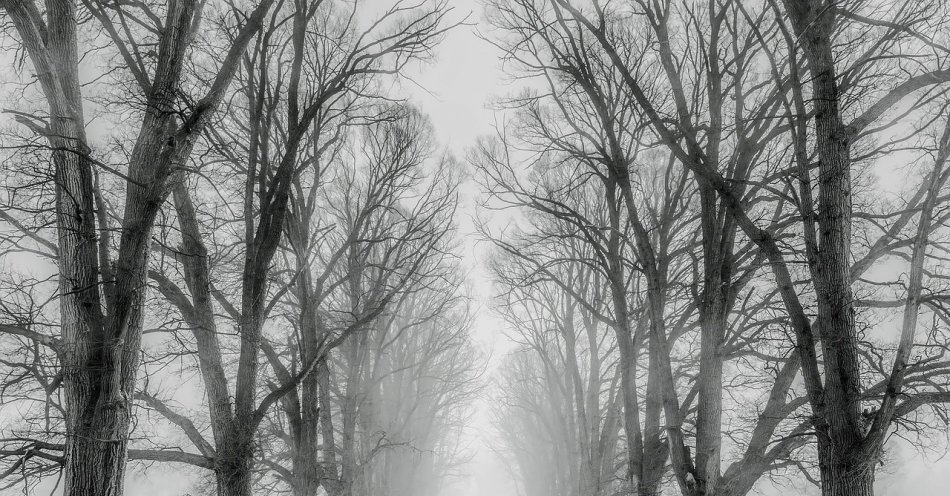 zdjęcie: GDDKiA ostrzega kierowców przed opadami śniegu, mżawką i mgłą / pixabay/1890653