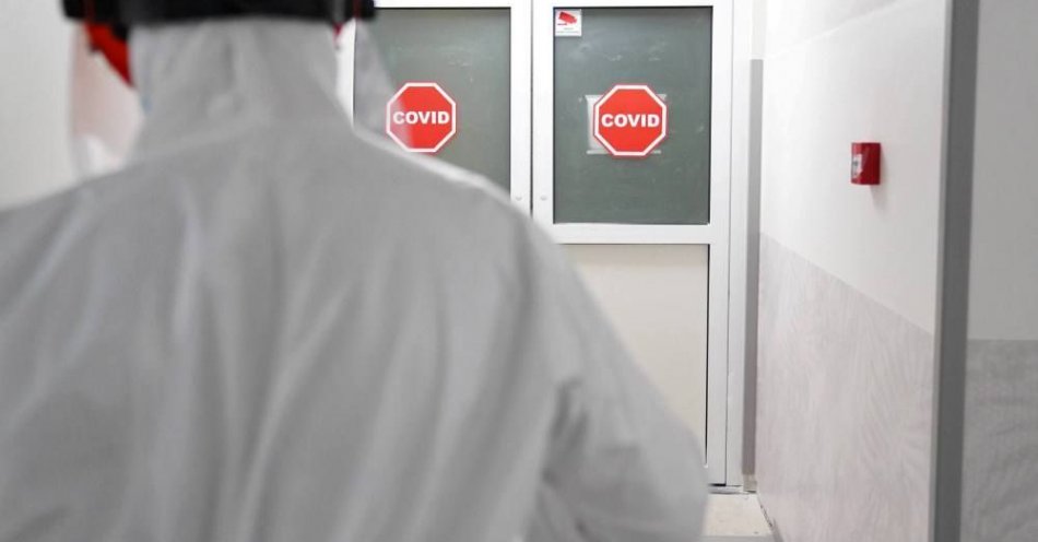 zdjęcie: 1 447 zakażeń koronawirusem; zmarło 6 osób z COVID-19 / fot. PAP