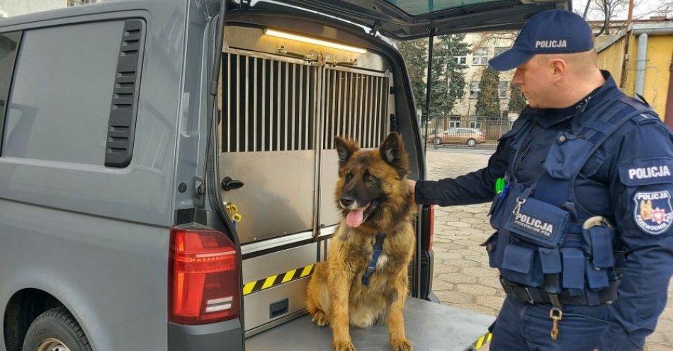 zdjęcie: Policjanci mają nowy, specjalny radiowóz do przewozu psów / fot. KPP w Łowiczu