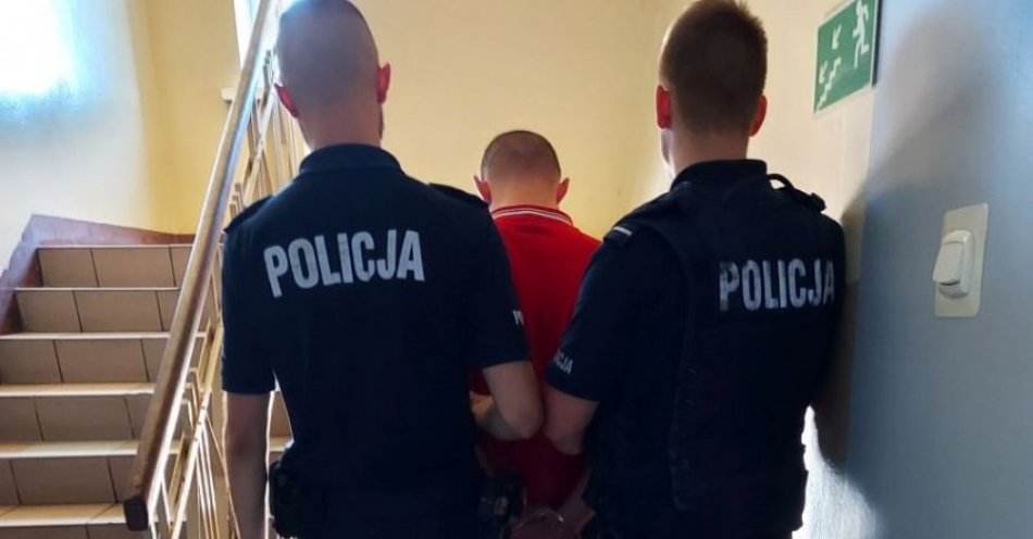 zdjęcie: Odpowiedzą za kradzież rozbójniczą / fot. KPP w Łowiczu