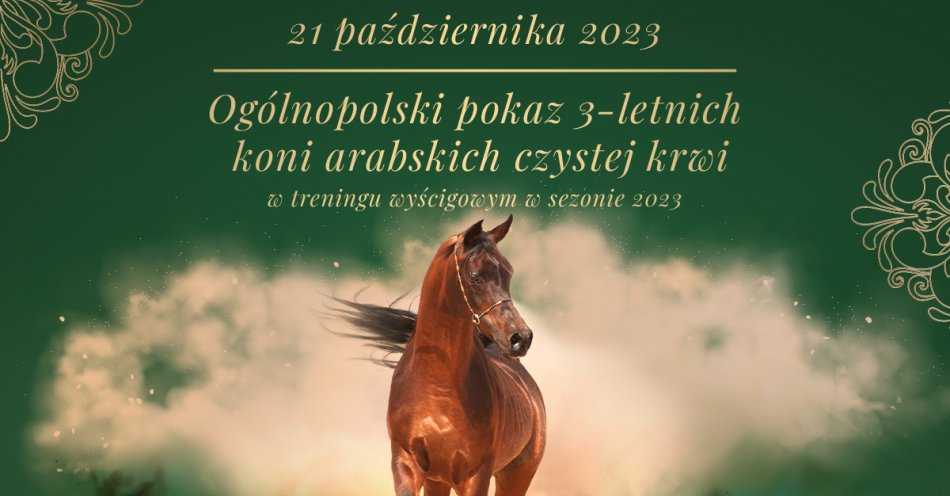 zdjęcie: Ogólnopolski pokaz 3-letnich koni arabskich czystej krwi 2023 / fot. nadesłane