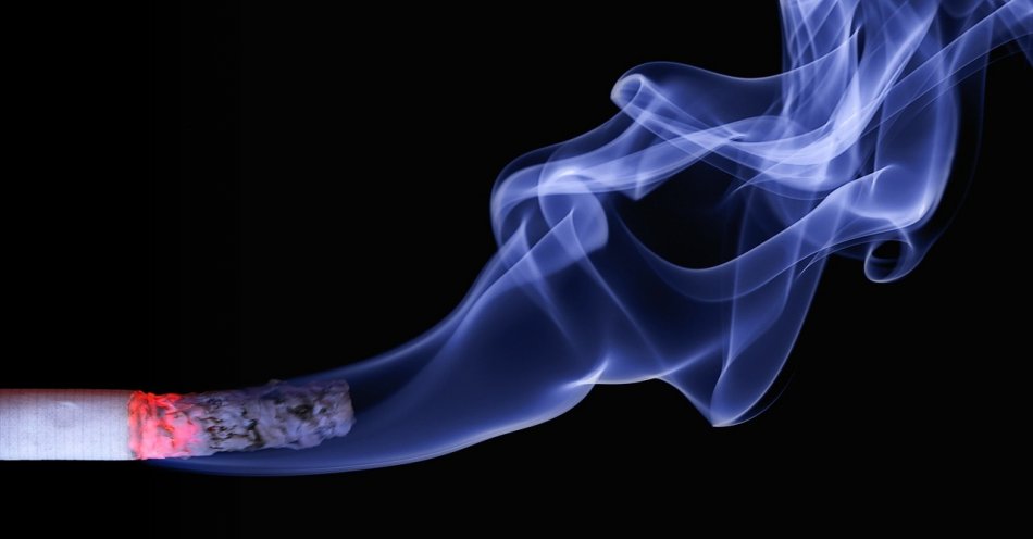 zdjęcie: Transport nielegalnych papierosów zatrzymali funkcjonariusze KAS / pixabay/110849