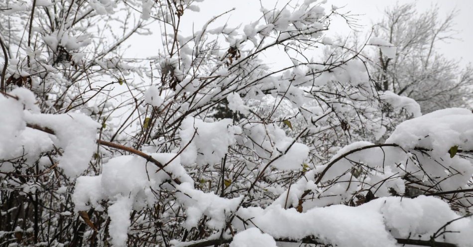zdjęcie: Zimna niedziela z opadami śniegu / fot. PAP