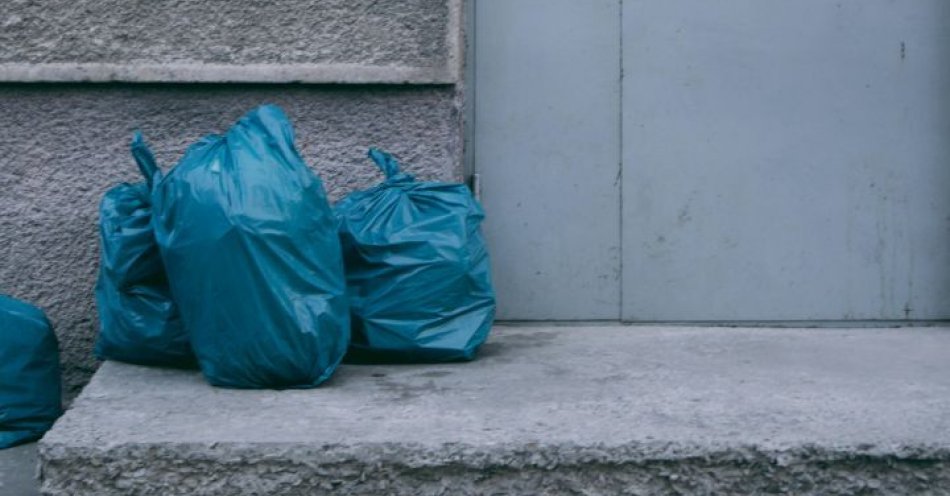 zdjęcie: Bezdomny znalazł porzucone w worku przy śmietniku czterotygodniowe szczeniaki / pexels/11886773