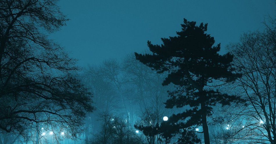 zdjęcie: Mroźna noc z opadami śniegu / pexels/358235