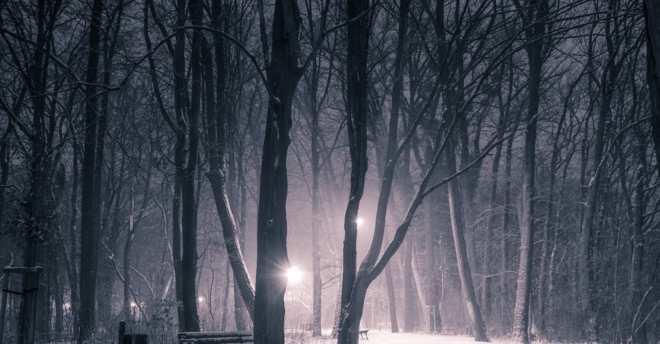 zdjęcie: W nocy opady deszczu i śniegu, mróz oraz marznąca mgła / pixabay/3975804