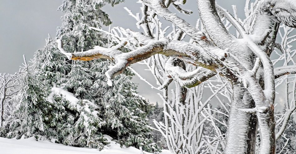 zdjęcie: Pierwsza połowa grudnia mroźna i śnieżna, druga – cieplejsza i deszczowa / pixabay/1819926