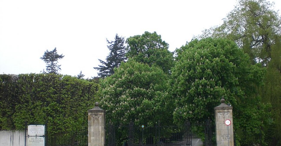 zdjęcie: Po silnym wietrze otwarto cmentarze komunalne i Park Oliwski / Gdaniec/Wikimedia Commons