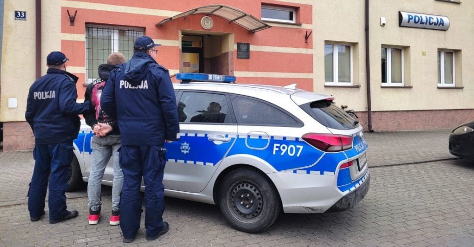zdjęcie: Agresywny wandal grasował na dziedzińcu komisariatu / fot. KPP w Bełchatowie