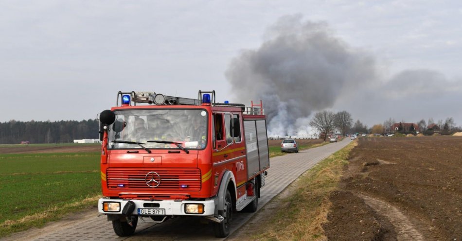 zdjęcie: W weekend doszło do ponad 700 pożarów; prawie 300 z nich to pożary traw / fot. PAP